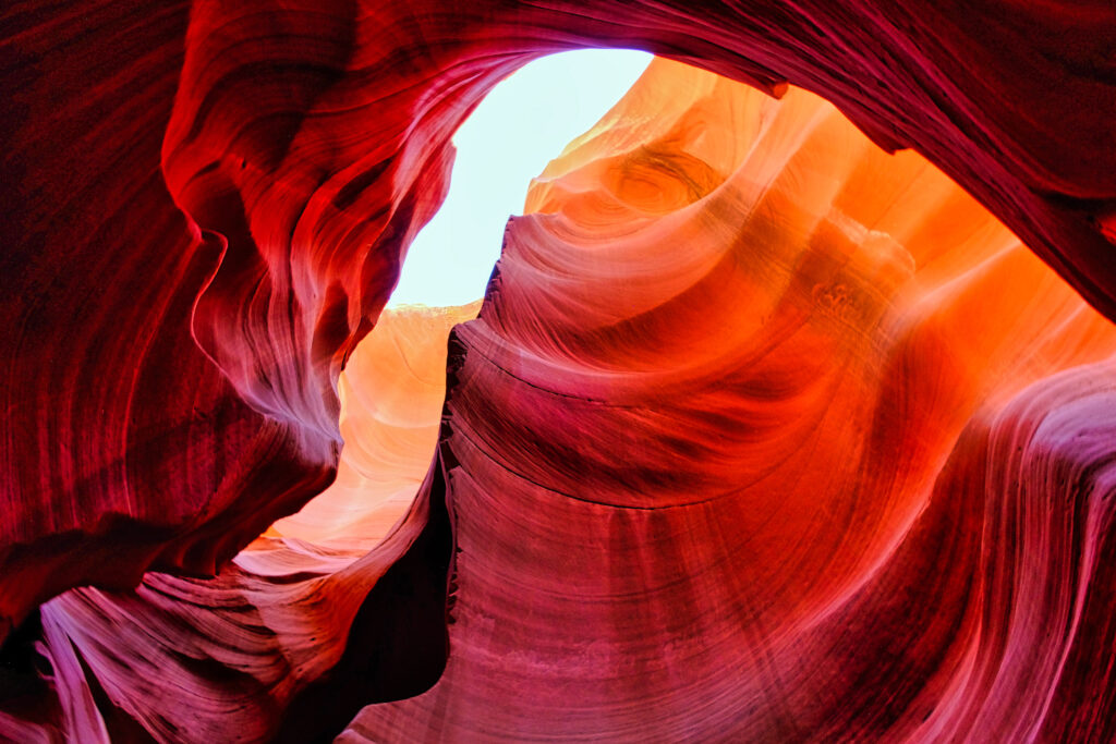 Danielle Leef-Antelope Light