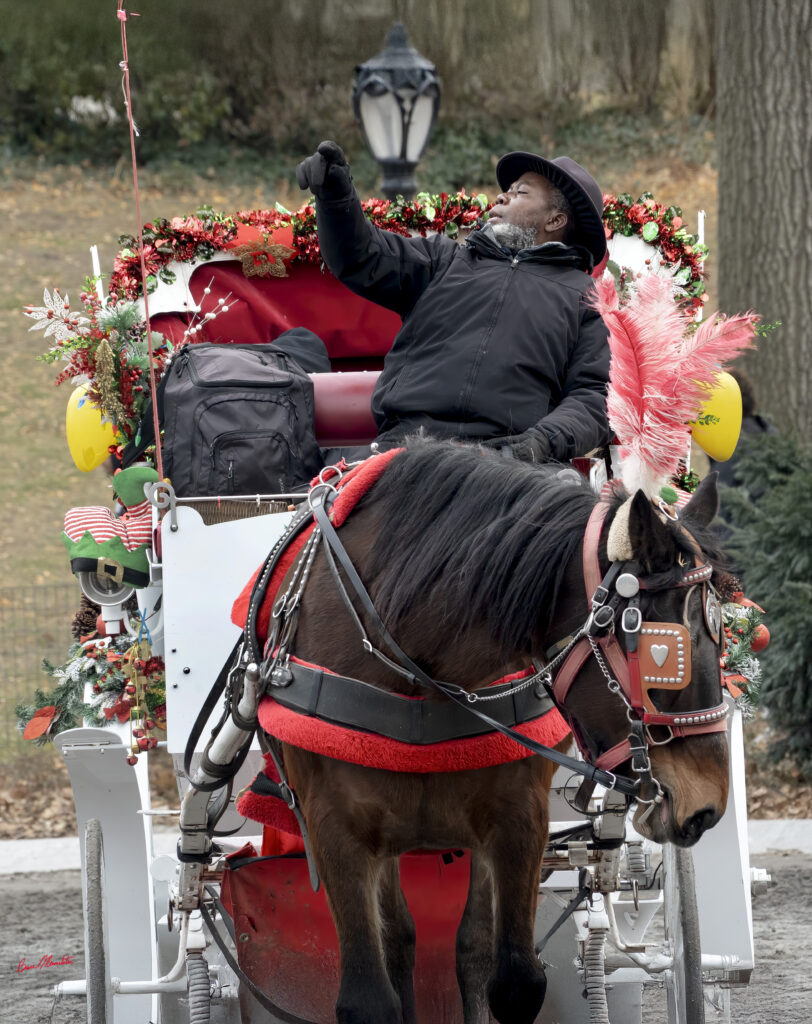 Bruce Mermelstein - Central Park Hack and Horse - Photograph