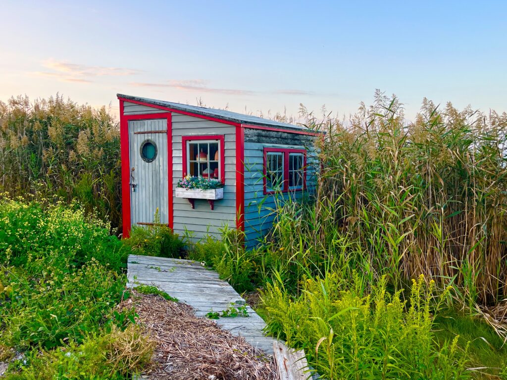 Jody Cukier-Scallop Shack in Vineyard Haven