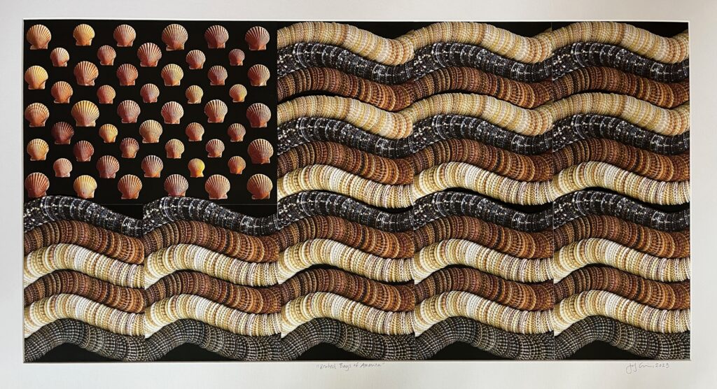 Jody Cukier-United Bays of America