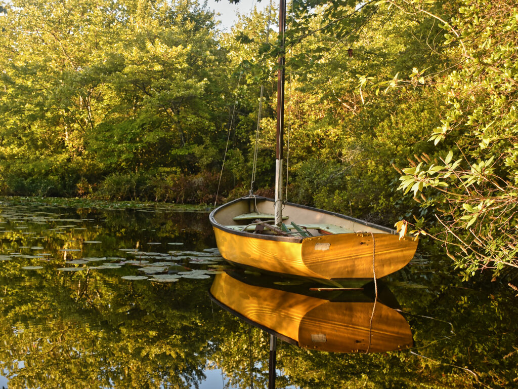 Paul Dempsey-Water Mill Pond